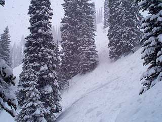 Picture 1